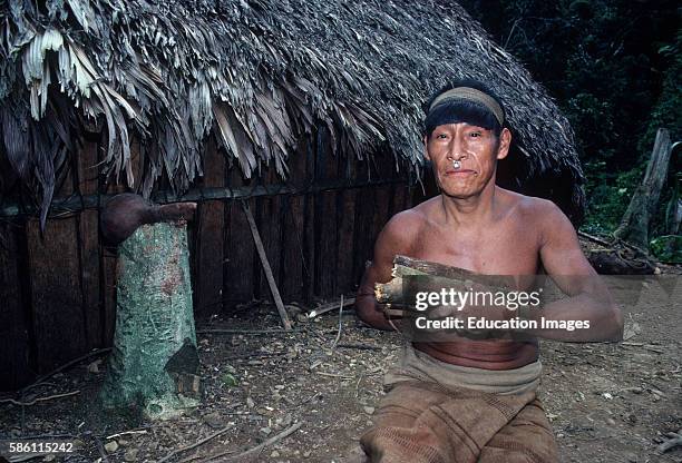 Chief Lopez with Barbasco vines used for stunning fish, Lower Andean, Amazon Basin, Peru, 1986 First contact of new band of remote Machiguenga...