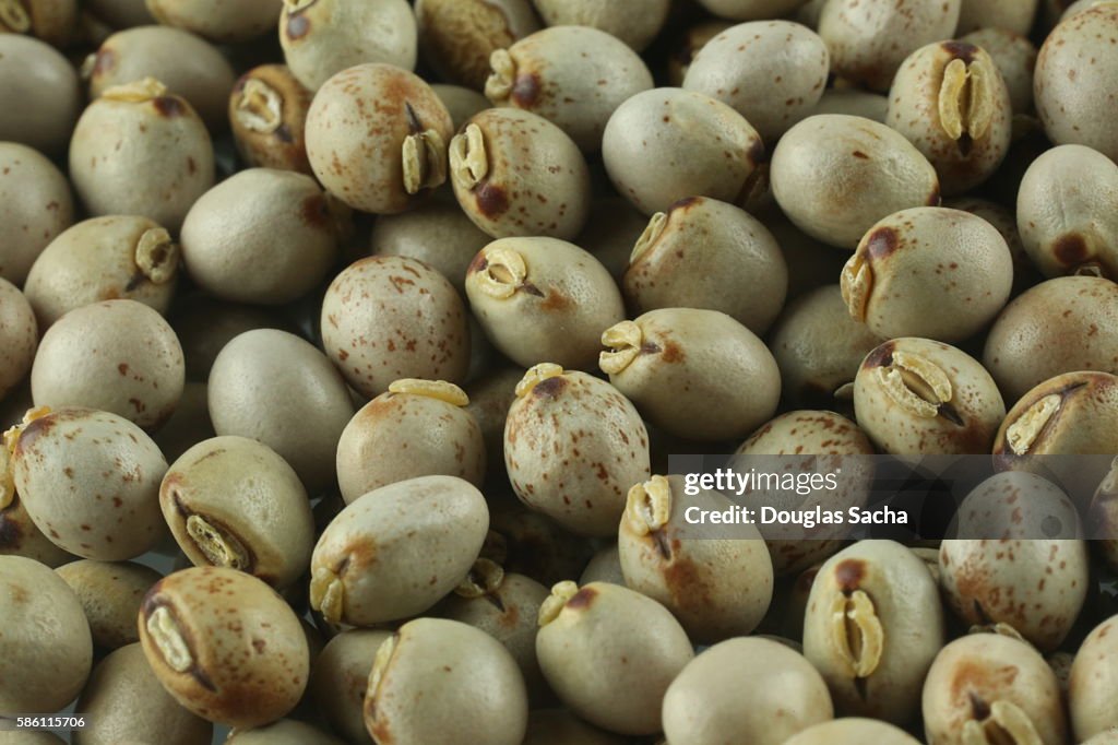 Black Garbanzo Beans (chickpeas)