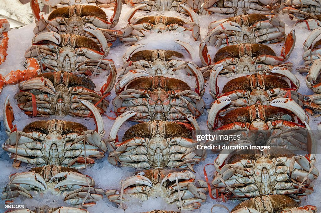 Dungeness crab for sale in Pike Place Market