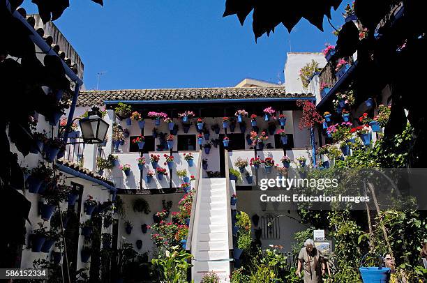 Typical courtyard in San Basilio quarter «la judera« , Crdoba, Andalusia, Spain.