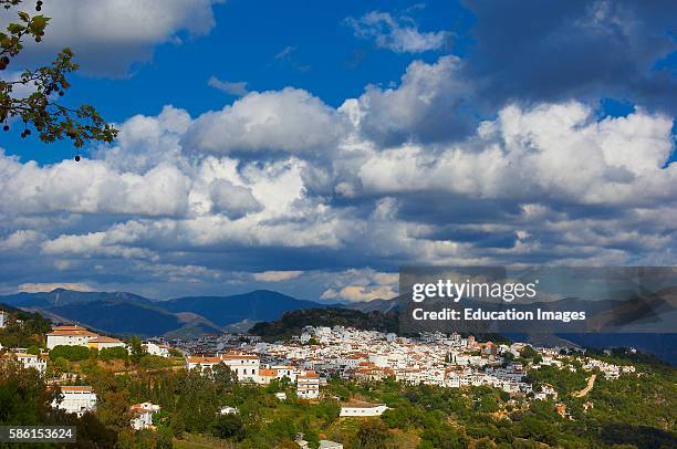 Gaucn, Genal river valley, Serrana de Ronda, White Village, Mlaga province, Andalusia, Spain.