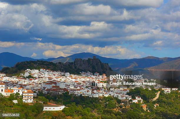 Gaucn, Genal river valley, Serrana de Ronda, White Village, Mlaga province, Andalusia, Spain.