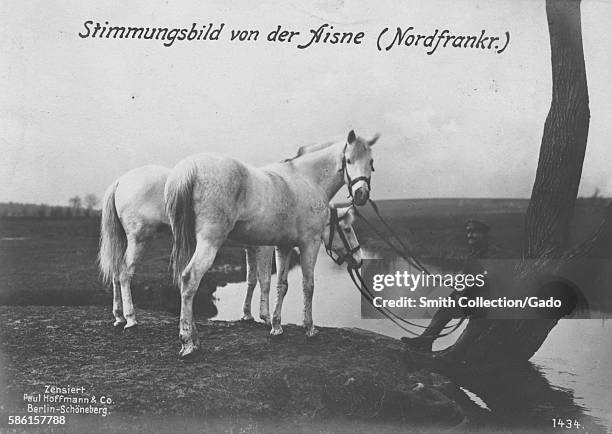 German solider with two horses, with original caption reading Stimmungsbild von der Aisne , 1900. From the New York Public Library. .