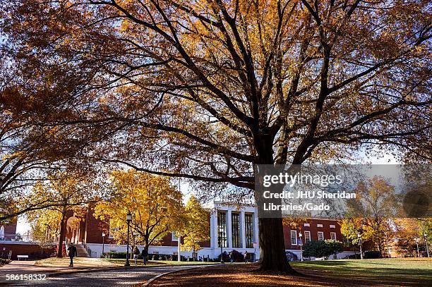 Trees covered in orange and yellow autumnal leaves frame the Milton S. Eisenhower Library on the Homewood campus of the Johns Hopkins University in...