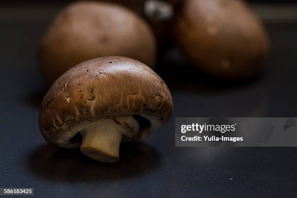 fresh agaricus bisporus mushrooms - white mushroom imagens e fotografias de stock
