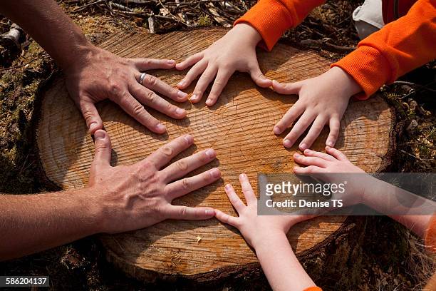 hands of father and children on a tree stump - promises rehab center bildbanksfoton och bilder