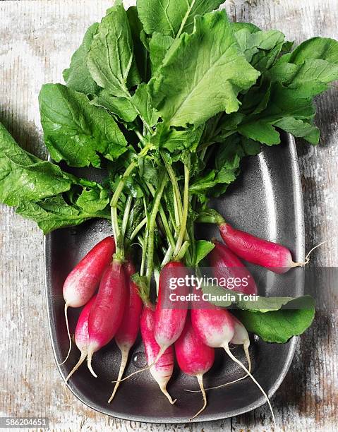 fresh radish - radish stock pictures, royalty-free photos & images