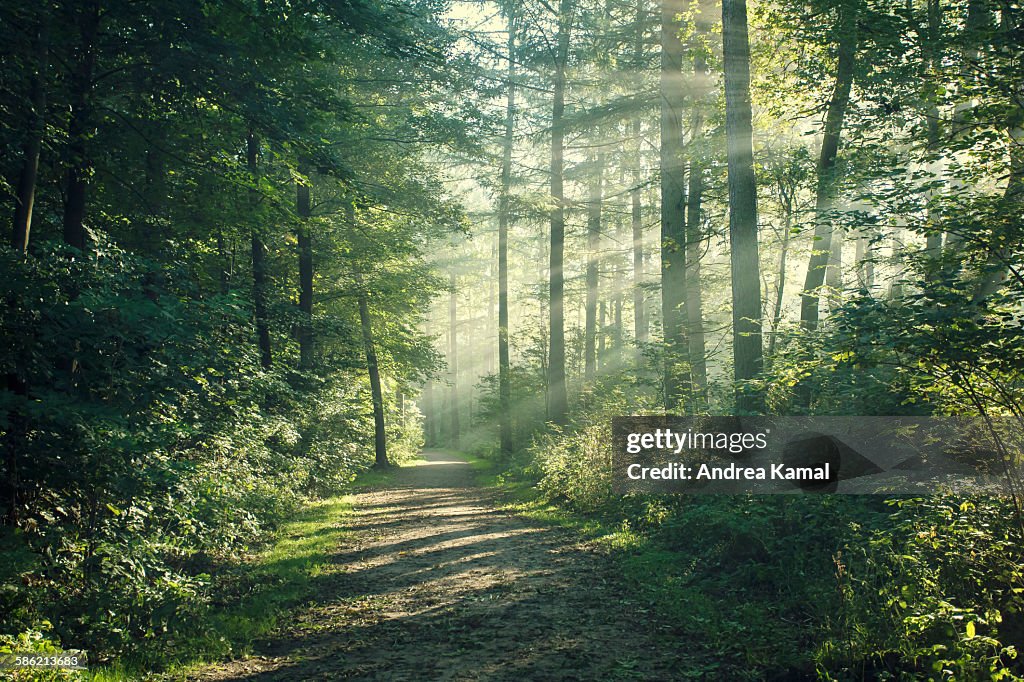 Sunny October morning in Hamburg