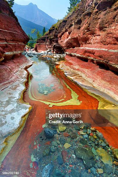 vivid colors of submerged rocks at red rock canyon in waterton lakes national park, canada - waterton lakes national park stock pictures, royalty-free photos & images