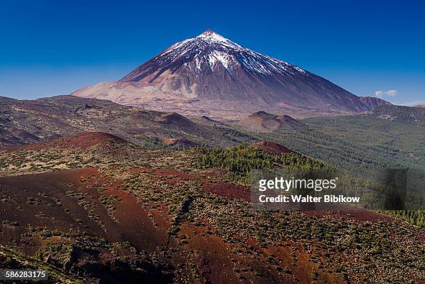 spain, canary islands, tenerife, exterior - el teide national park stock pictures, royalty-free photos & images