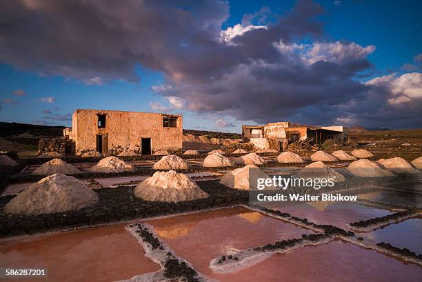 spain, canary islands, lanzarote, exterior - salt basin stock pictures, royalty-free photos & images