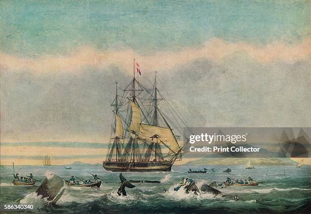 'South Sea Whale Fishery', 1825. From Adventures By Sea From Art of Old Time, by Basil Lubbock. [The Studio Ltd., London, 1925] Artist: Thomas...