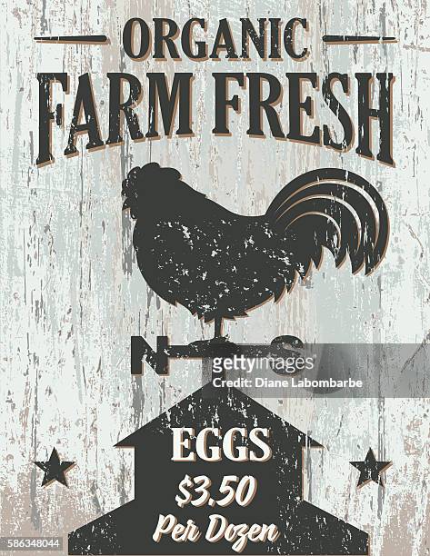 vintage faded farm sign on wood background - rooster print stock illustrations
