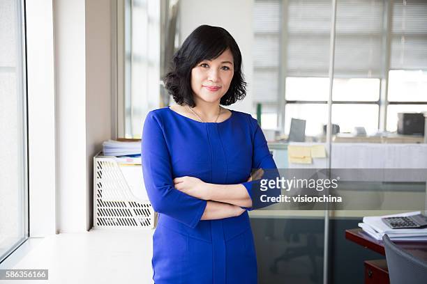successful chinese business woman - funcionário público imagens e fotografias de stock
