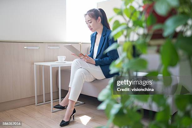 female white-collar tablet - civil servant stock pictures, royalty-free photos & images