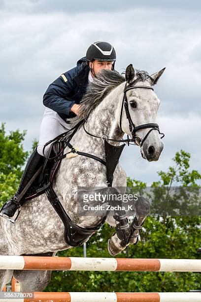 show jumping - horse with rider jumping over hurdle - mane stock pictures, royalty-free photos & images
