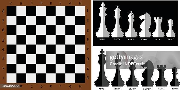 chessboard with chess pieces - bishop chess piece stock illustrations