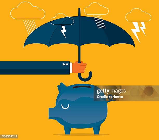 protecting piggy bank - natural disaster stock illustrations