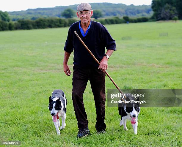 Shepherd Bob Harland from Pickering walks with his dogs after taking part in the Brace Run at the British National Sheep Dog Trials on August 6, 2016...