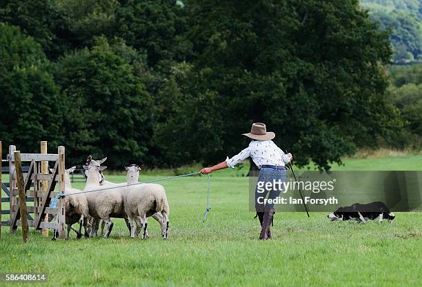 Shepherd Katy Cropper and her dogs Zsaro and Flash take part in the Brace run as they take part in the British National Sheep Dog Trials on August 6,...