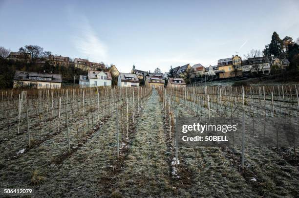 frozen vineyard and houses - stuttgart village stock pictures, royalty-free photos & images