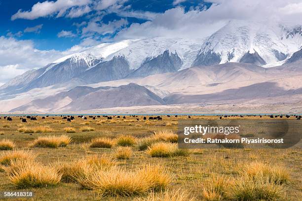 beautiful landscape of khunjerab pass - china pakistan stock-fotos und bilder