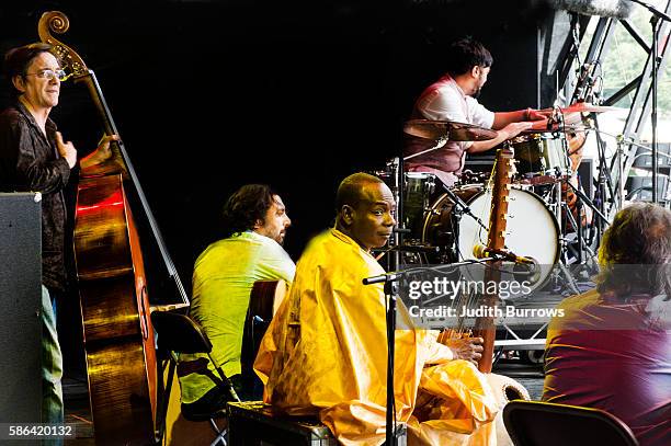 Malian kora player Toumani Diabate performs with Songhai at WOMAD.