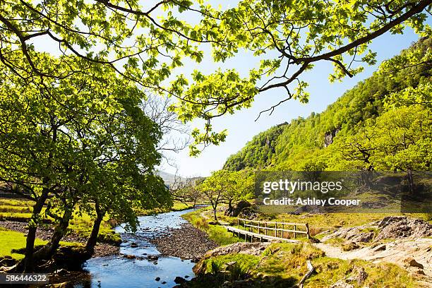 watendlath beck off the borrowdale valley near keswick, lake district, uk. - borrowdale imagens e fotografias de stock