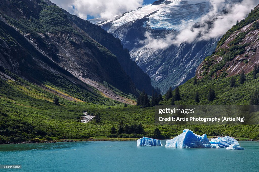 Tracy Arm Fjord. Alaska, United States of America