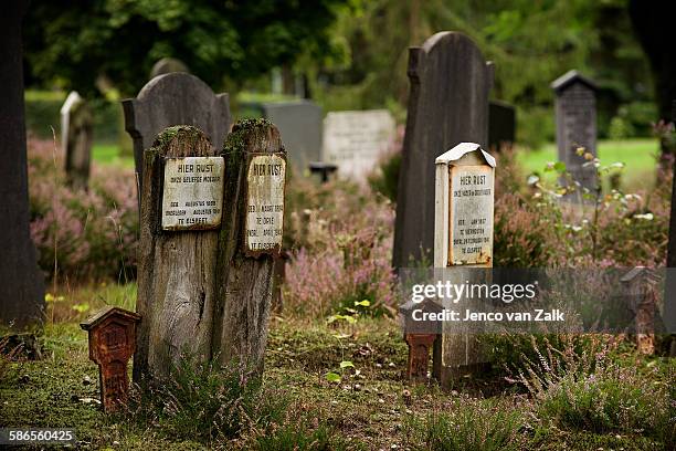 old gravestones on a graveyard - jenco van zalk stock pictures, royalty-free photos & images