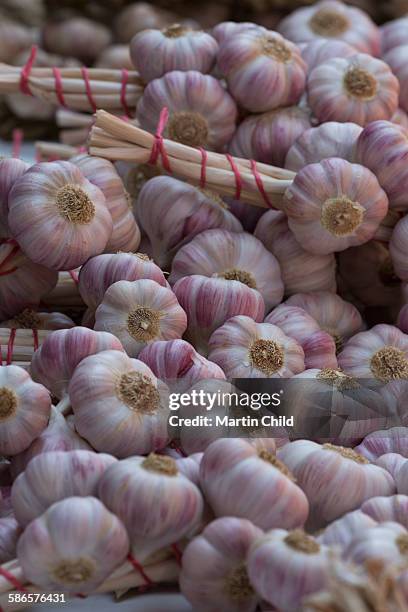 garlic for sale in mirepoix - mirepoix comida fotografías e imágenes de stock