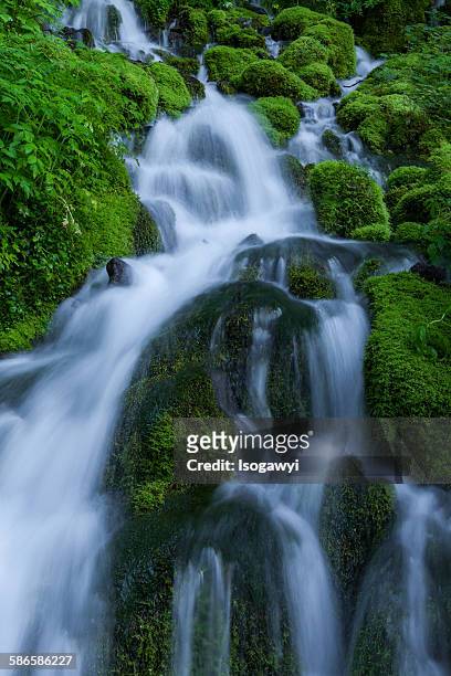 clear water on the mossy rocks - isogawyi stock pictures, royalty-free photos & images