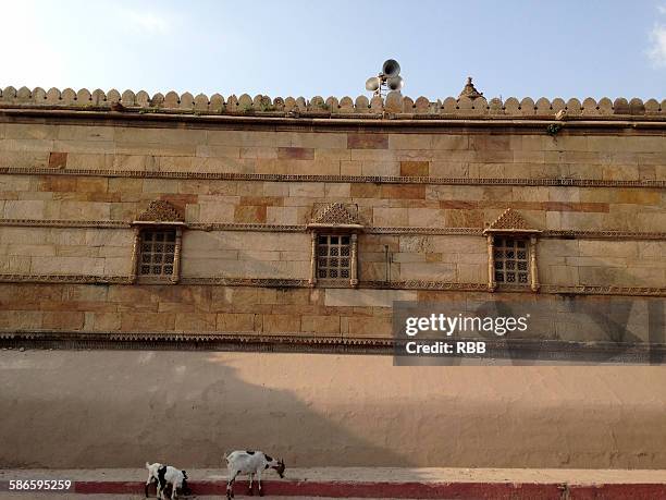 jhulta minar ahmedabad - ahmedabad jama masjid mosque stock pictures, royalty-free photos & images