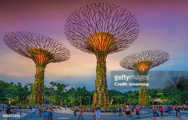 garden by the bay, singapore - gardens by the bay stock pictures, royalty-free photos & images