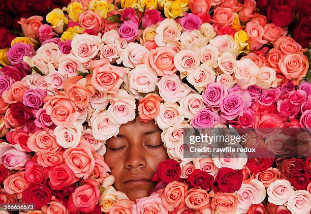 a young woman surrounded by roses - circondare foto e immagini stock