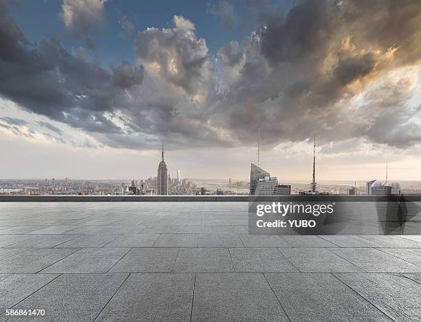 the roof viewing platform - rooftop new york photos et images de collection