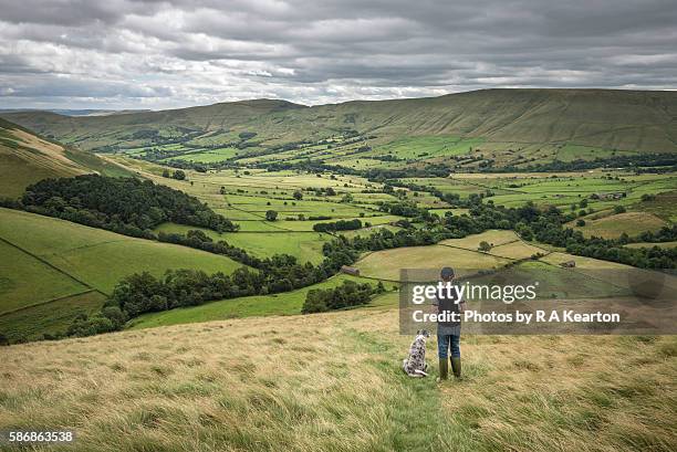 a boy and his dog enjoying the view - peak district national park 個照片及圖片檔