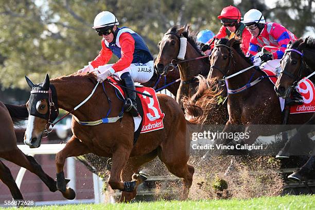 John Allen riding Gingerboy does a great job to hang on before finishing 3rd to Zanteco in Race 4, the Grand National Hurdle during Grand National...