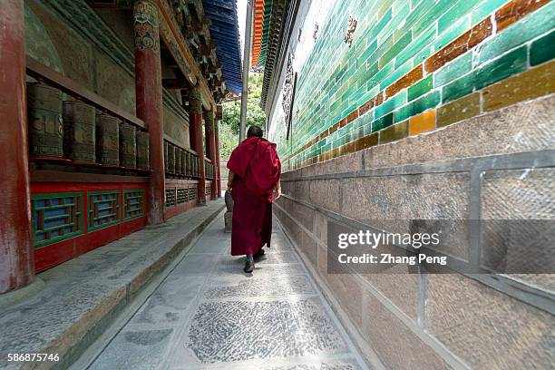 Lama monk walks by prayer wheels in Ta'er Monastery. Kumbum Monastery is one of the two most important Tibetan Buddhist monasteries outside Tibet. In...