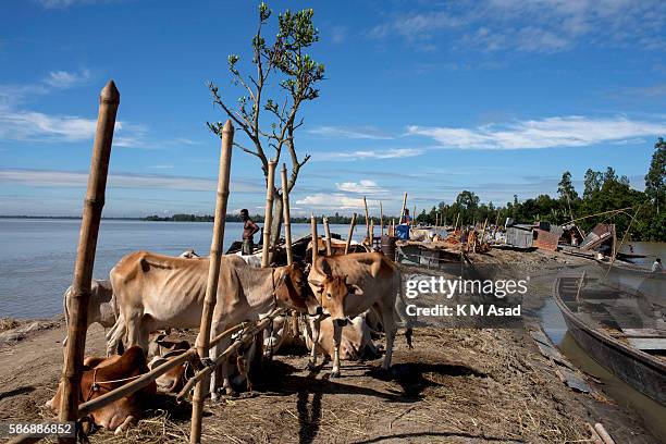 After being washed out and having lost their houses by the floodwater which broken through one side of this dam people take shelter in the other side...