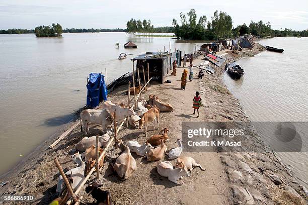 After being washed out and having lost their houses by the floodwater which broken through one side of this dam people take shelter in the other side...