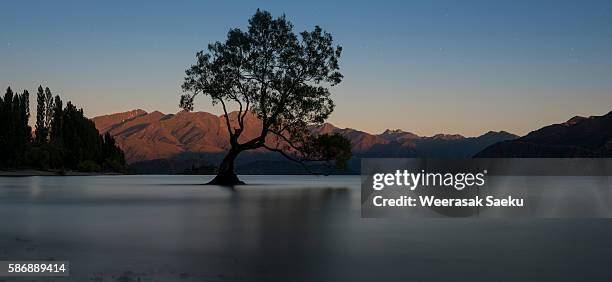 new zealand - new zealand beach house stock pictures, royalty-free photos & images