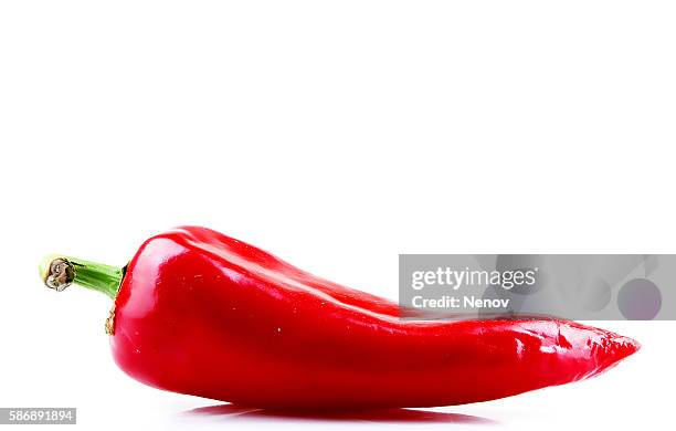 red pepper - peperone rosso foto e immagini stock