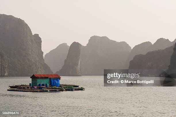 lan ha bay, halong arcipelago, vietnam. a colorful floating house on the water with the karst rock formations in the background - bay of water fotografías e imágenes de stock