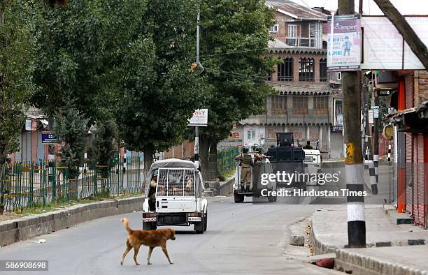 Vehicles of CRPF and police patrol during the curfew hours on August 7, 2016 in Srinagar, India. Kashmir has been reeling under violence, curfew and...