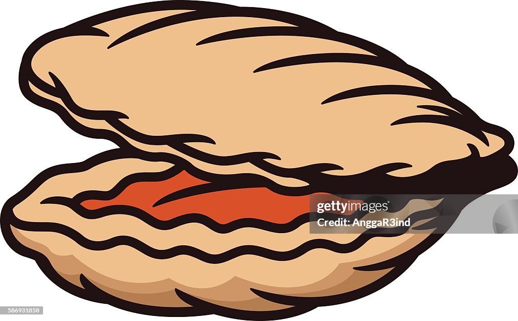 Clam Cartoon