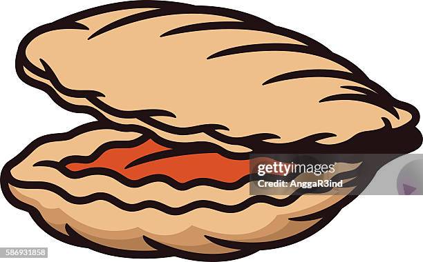 Cartoon Razor Clam 68 Clam Cartoon Stock Photos, High-Res Pictures, and Images - Getty Images