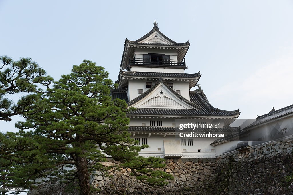 Kochi Castle in Kochi Prefecture, Shikoku, Japan