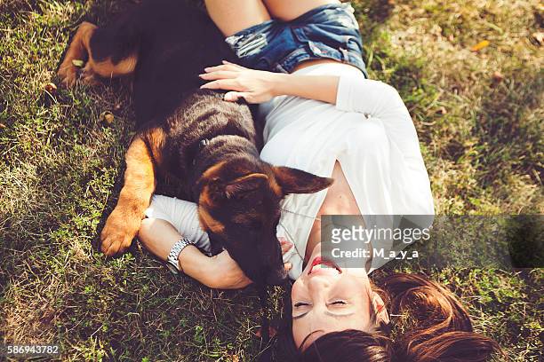 godersi il tempo con il cucciolo - pastore tedesco foto e immagini stock