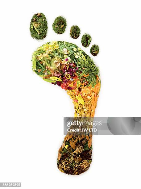 footprint created from garden waste and vegtables - green footprint stock pictures, royalty-free photos & images